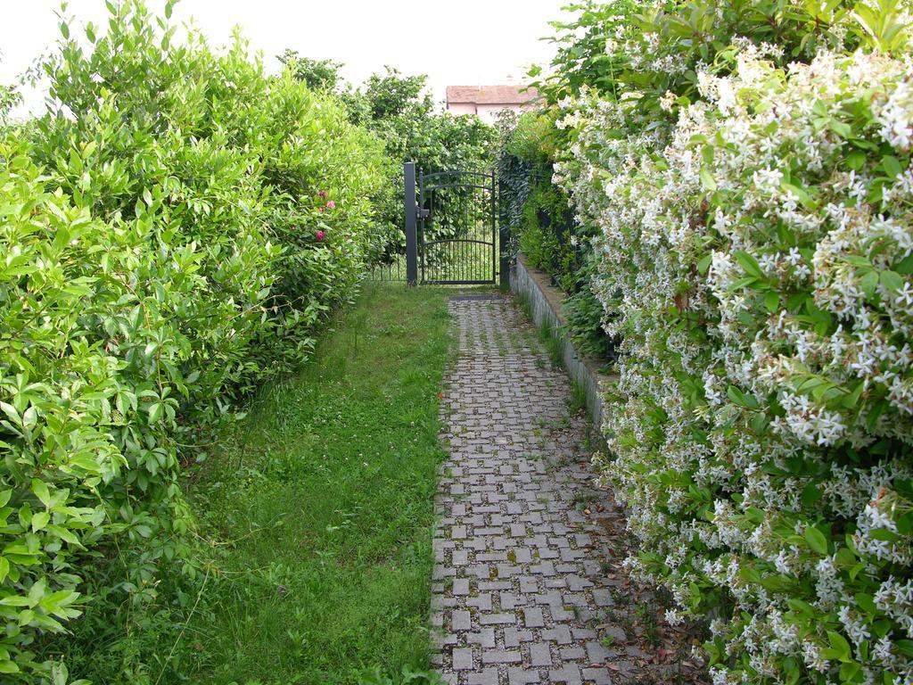 Appartamento Vacanze Magnolia E Glicine Tuoro sul Trasimeno Exteriör bild
